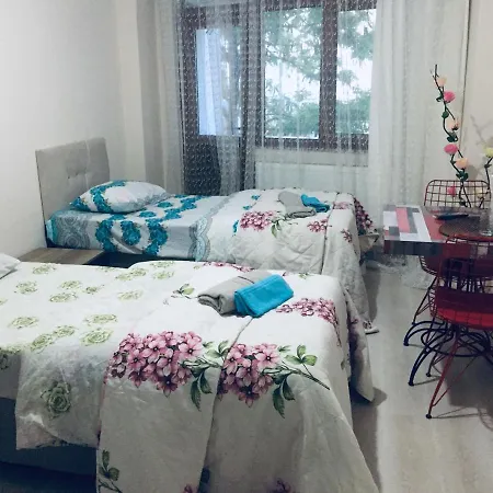 Yakut Butik Apart * اسطنبول